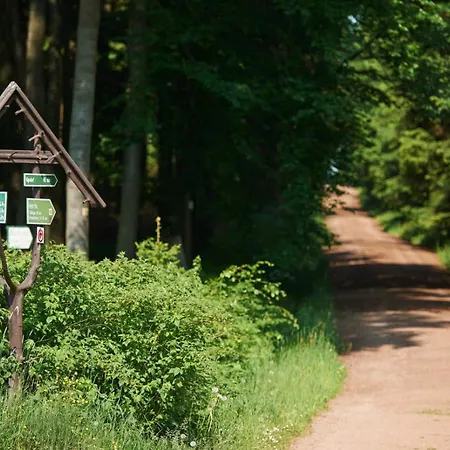 Ahornallee * Kurort Bärenburg