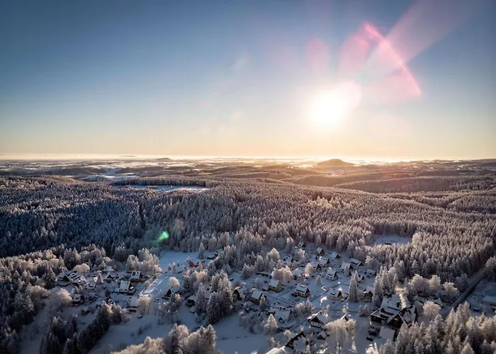 Ahornallee Kurort Bärenburg