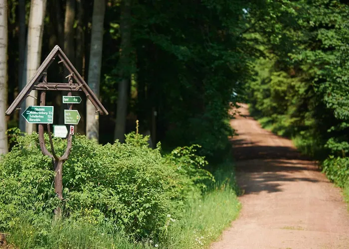 Ahornallee * Kurort Bärenburg